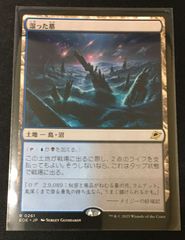 MTG 湿った墓 - メルカリ