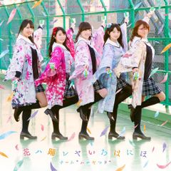 (CD)하나하춤 레야 이로하니호(CD+DVD)/팀·하나야마타