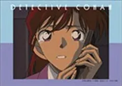 【毛利蘭(泣き)】名探偵コナン メモリアルブロマイドコレクションVol.4