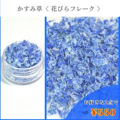 No.384 かすみ草 つぼみ ドライフラワー コバルトブルー - メルカリ
