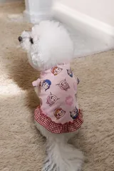 ペコちゃん柄♡犬用リメイクワンピース 赤ギンガム*フリル*小型犬 ビション・トイプーにおすすめ*ハンドメイド