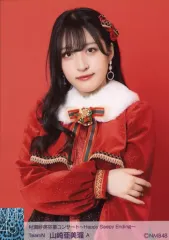 【中古】生写真(AKB48・SKE48) A：山崎亜美瑠/村瀬紗英卒業コンサート～Happy Saepy Ending～ ランダム生写真