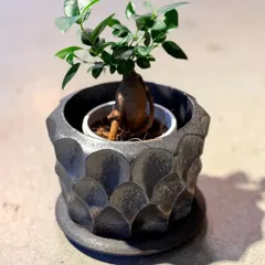 陶器鉢 3号