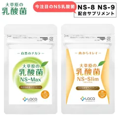 新品 NS乳酸菌 サプリ 乳酸菌サプリメント 大草原の乳酸菌 NS-Max NS-Slim 36粒 選べる 腸内環境 インナーケア プロバイオティクス 植物由来カプセル 健康習慣 美容習慣のサムネイル