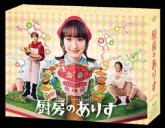 美品】フジカラー お正月を写そう ポスター｜田中麗奈 ドリフターズ