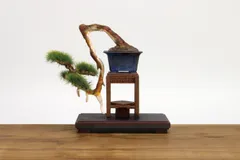 1/12 ザ・盆栽 プラスチックモデルキット -参-のサムネイル