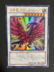 メテオドラゴン 25thシークレット クォーターセンチュリー クオシク
