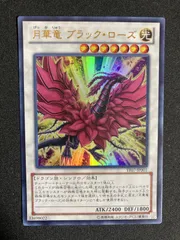 2026年最新】月華竜ブラックローズの人気アイテム - メルカリ