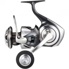 2026年最新】ダイワ(DAIWA) 21 セルテートSW 10000-Pの人気アイテム