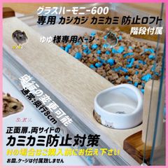 【すもあに】ひこ様 小動物専門店 すもあに - メルカリShops