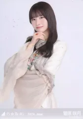 【中古】生写真(坂道シリーズ) 菅原咲月/上半身・スペシャル衣装41/「乃木坂46 2024.June」WebShop 限定ランダム生写真