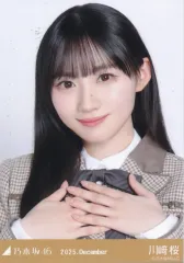 2026年最新】川崎桜 乃木コレの人気アイテム - メルカリ