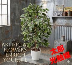 光触媒 人工観葉植物 ウォールグリーン フェイクグリーン フィカス 