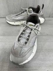 Reebok/リーボック/スニーカー/ZIG KINETICA 2.5 EDGE/ベージュ/28cm/100074671のサムネイル