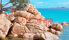 ちい♡ 様 専用