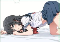 [중고] 클리어 파일 유키노시타 유키노(세일러복/옆) 신작 A4 클리어 파일 [역시 내 청춘 러브 쌀은 잘못되어 있다. 완]