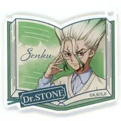【中古】キーホルダー 石神千空 BOOK型ver. アクリルキーホルダー 「くじ引き堂 Dr.STONE オンラインくじ 読書の秋編」 C-1賞