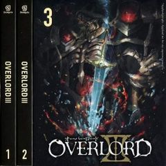 h*e様 オーバーロード シーズン1～3 海外版 ブルーレイ スチールブック 