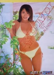 根本はるみ 2005カレンダー★井川遥2002カレンダー　セット 2026年最新】根本はるみ カレンダーの人気アイテム - メルカリ