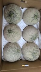 沖縄県産ジャックフルーツ 8,4 kg - メルカリ