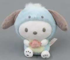 【中古】ぬいぐるみ ポチャッコ(カメ) ぬいぐるみ みずのいきものシリーズ 「サンリオキャラクターズ」