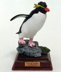 いきもん】ネイチャーテクニカラー「南極」イワトビペンギン - メルカリ