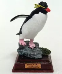 【中古】トレーディングフィギュア イワトビペンギン 「ネイチャーテクニカラー 南極」