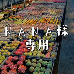 NANA様専用