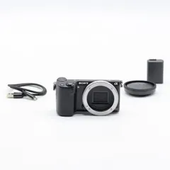 2026年最新】NEX5Tの人気アイテム - メルカリ