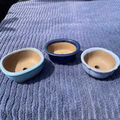 盆栽鉢 山野草鉢 瀬戸焼 キンヨー小判エン付 幅9cm×高さ4cm 3個おまとめ