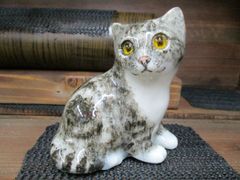ウィンスタンレイキャット☆ケンジントンキャット☆オッドアイ☆白猫