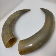 木彫り 壁掛け 仮面 トライバルマスク 木製オブジェ 民族風 デザイン マスク インテリア アート 彫刻 飾り 壁飾り アンティーク風 エスニック オブジェ 店舗装飾 ディスプレイ コレクション 260331-3A 木彫り 壁掛け 仮面 トライバルマスク 木製オブジェ 民族風 デザイン