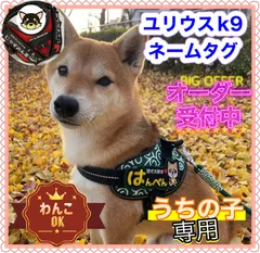ユリウスk9 ネームタグ　NO4 モチーフ　名前刺繍ワッペン　ハーネス名札　犬　オーダーメイド　ネームラベル