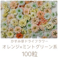 ⭐️❤︎グランオマージュ白❤︎⭐️ドライフラワーバラ⭐️ドライ