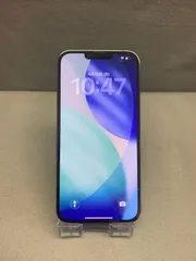 超美品 Appleストア版 SIMフリー iPhone13 Pro Max 512GB グラファイト色