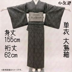 夏着物『紋紗』小紋□しっとり筋ぼかし□花唐草□濃グレー◇正絹◇KA4 