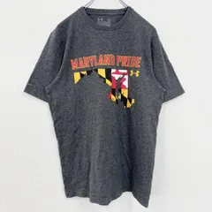 UNDER ARMOUR アンダーアーマー　半袖プリントTシャツ　グレー　クルーネック　コットン　Lサイズ　古着