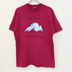 90s　FRUIT OF THE LOOM　半袖プリントTシャツ　ヴィンテージ　シングルステッチ　ピンク　Lサイズ　古着