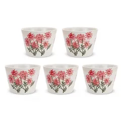 J-kitchens コーヒーカップ 5個 セット 225cc 波佐見焼 おしゃれ 日本製 野花 レッド / 439154