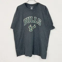 Champion　チャンピオン　半袖プリントTシャツ　ダークグレー　2XLサイズ　古着