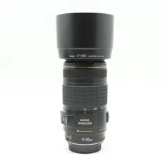2026年最新】EF70-300mm F4-5.6 IS USM 2の人気アイテム - メルカリ