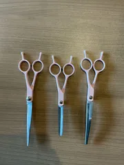 4C29 犬用グルーミングはさみキット