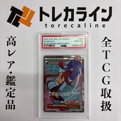 ポケモンカード FA/SKYLA 2015年プロモ164/XY-P PSA10 - メルカリ