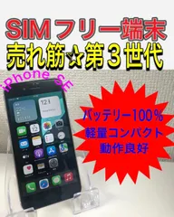 【極美品】iPhone SE 第3世代 バッテリー100％ スターライト