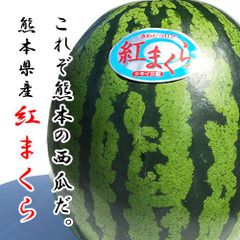新品 未使用 リード工業 スイカヘルメット TL-02 スイカ柄 出川哲郎