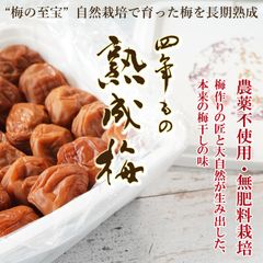 無添加◇◇自家製 南高梅シロップ漬けから出た梅をお譲り致します