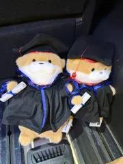 学位帽 ウール日和（8個）& チャン夫婦 恐竜日和（10個）