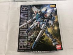 [미개봉] MG 기동 전사 건담 F91 건담 F91 Ver.2.0 1/100 스케일 색으로 구분 된 플라스틱 모델