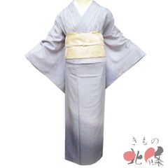 特選 小紋 着物 中古 正絹 袷 カジュアル 花模様 地模様 黒紅色 瑠璃色