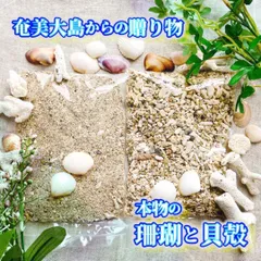 2026年最新】エメラルドハーバリウムの人気アイテム - メルカリ